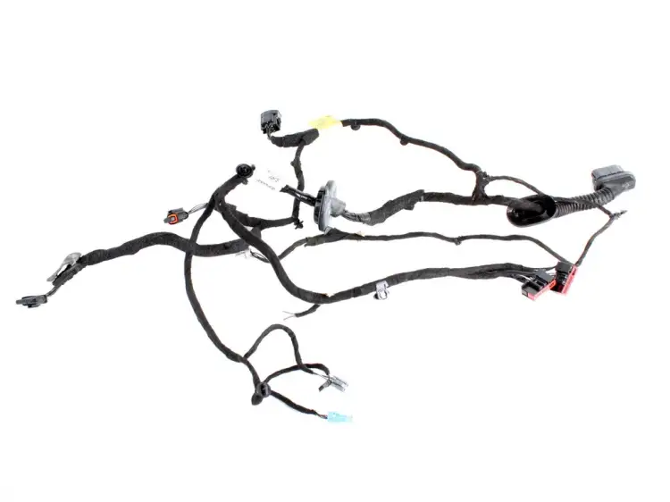 WIĄZKA DRZWI PRAWA TYLNA 1